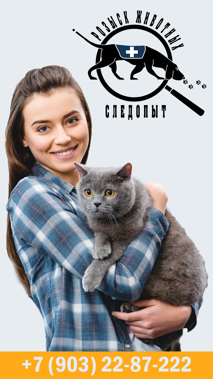 Следопыт