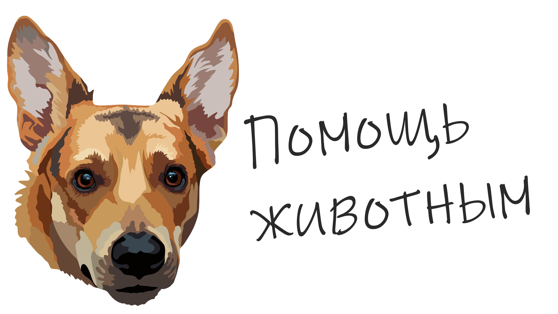 Поиск пропавших животных | Убежала собака, кошка